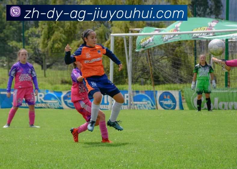 AG九游会官网平台生态图